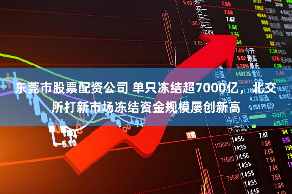 东莞市股票配资公司 单只冻结超7000亿，北交所打新市场冻结资金规模屡创新高