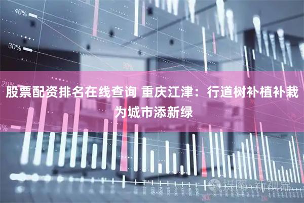 股票配资排名在线查询 重庆江津：行道树补植补栽 为城市添新绿