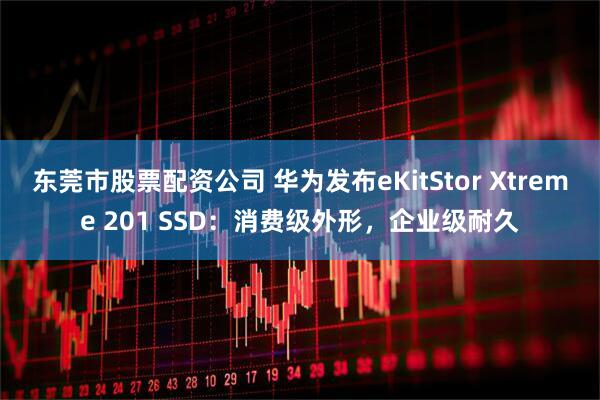 东莞市股票配资公司 华为发布eKitStor Xtreme 201 SSD：消费级外形，企业级耐久