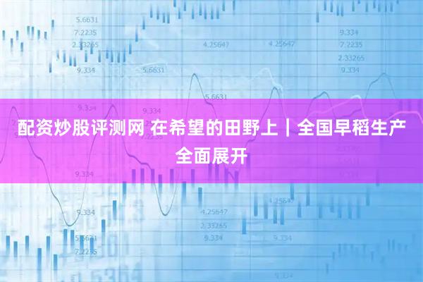 配资炒股评测网 在希望的田野上｜全国早稻生产全面展开